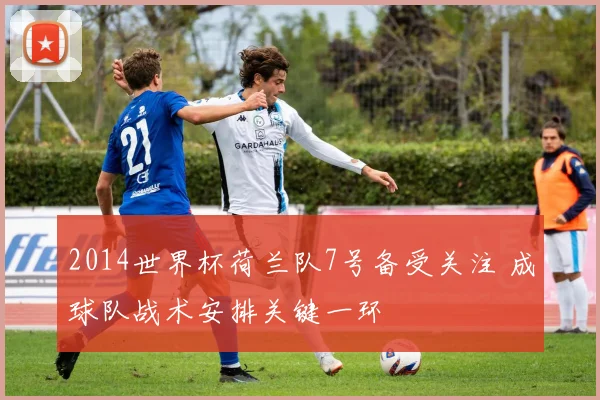 2014世界杯荷兰队7号备受关注 成球队战术安排关键一环