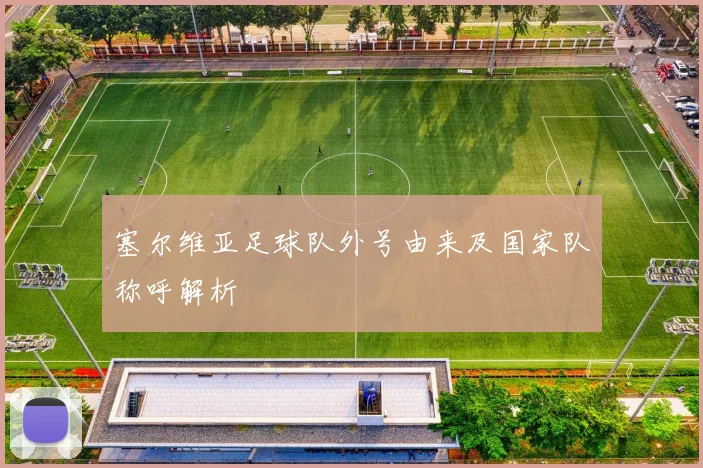 塞尔维亚足球队外号由来及国家队称呼解析