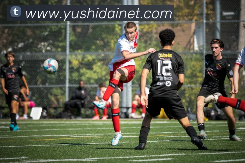 世界杯平台官网登录平台生态图